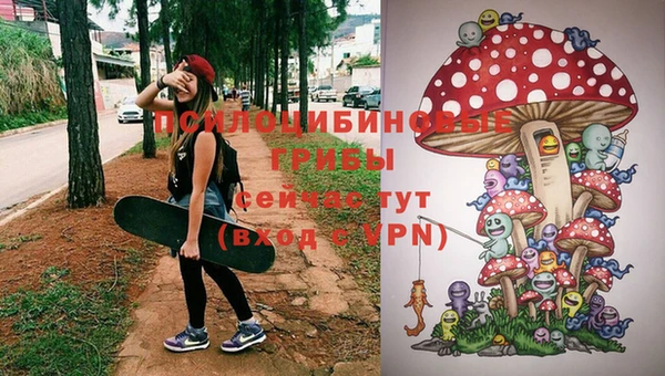 MESCALINE Белокуриха